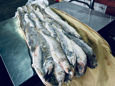Корюшка камчатская свежемороженная неразделанная 2-4 шт, ~ 550-600 гр